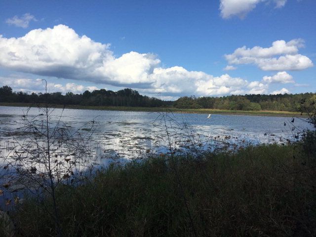 431 Us Hwy 431, Eufaula, AL 36027